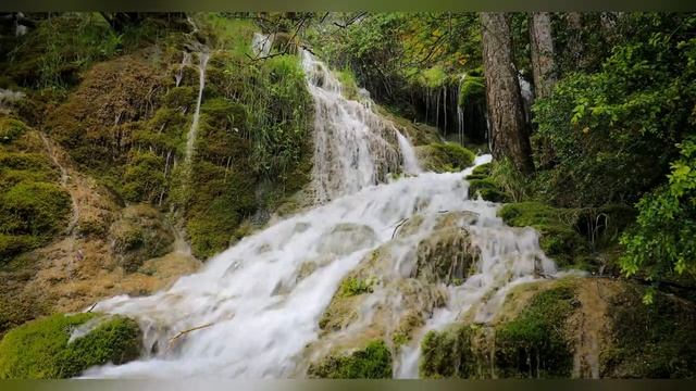 Мгновения Покоя: Путешествие к Спокойствию и Релаксации смотреть онлайн