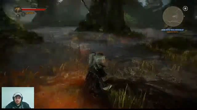 The Witcher 2 #27 A morte de Cedric смотреть онлайн