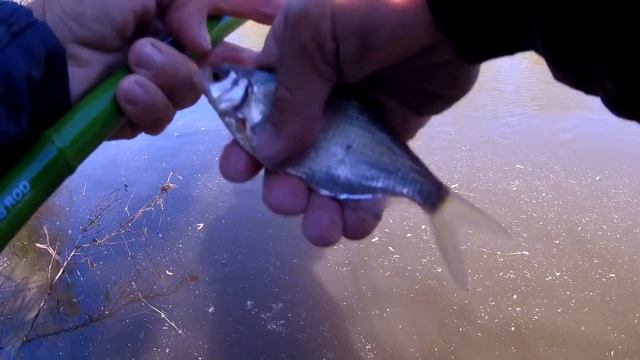 Рыбалка на поплавок пятница 13 в мае 2022. смотреть онлайн