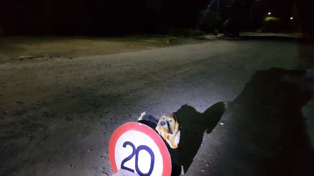 Дорожные знаки