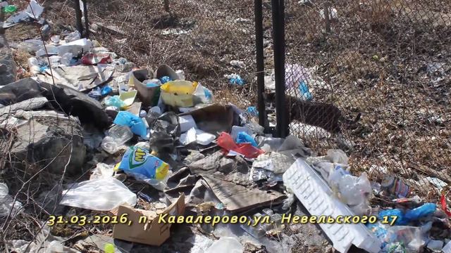 свалка в кавалерово смотреть онлайн