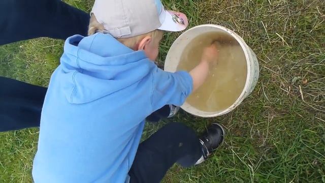 Мальчик ловит рыбу в ведре. смотреть онлайн