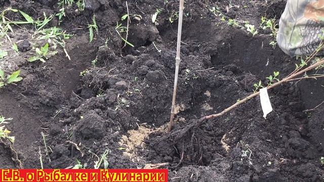 Стройка Глазами Архитектора