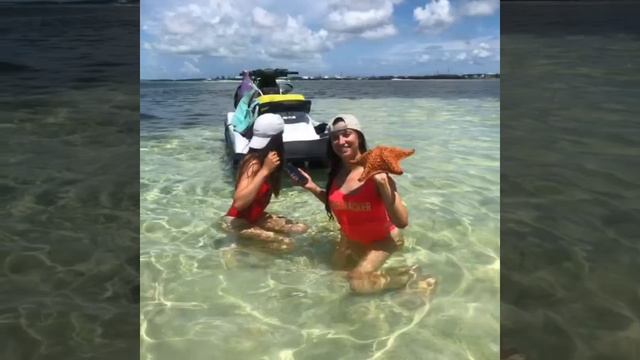 Island safari tours Key West 305-879-2124. смотреть онлайн