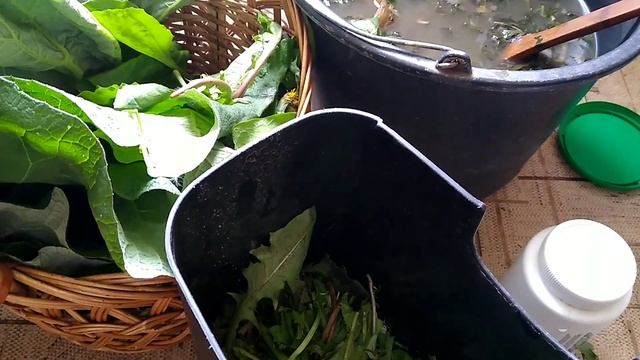 ОРГАНИЧЕСКОЕ УДОБРЕНИЕ для растений.Как сделать ЗЕЛЕНУЮ БОЛТУШКУ. смотреть онлайн