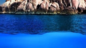 Единое Братство - Эти Сны ДЛЯ ТЕБЯ