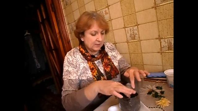 Попытка укоренить и размножить хризантемы по способу из видео.Ссылка в описании. смотреть онлайн