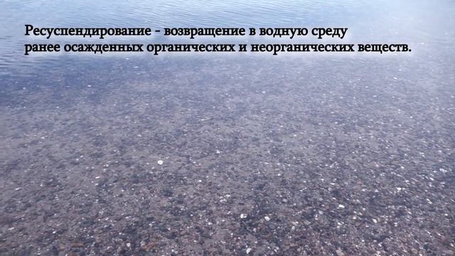 Сакское озеро и отдыхающие: возможен ли взаимовыгодный симбиоз? смотреть онлайн