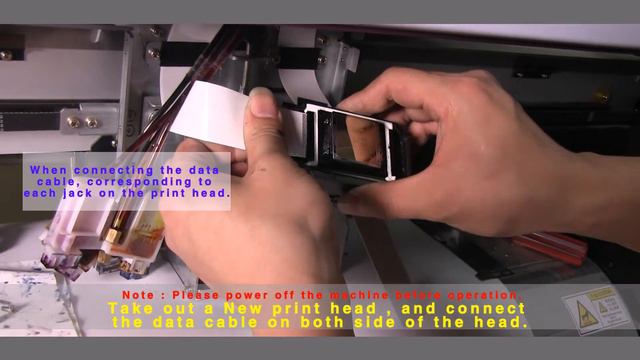 Replacement Video For XP600 Head