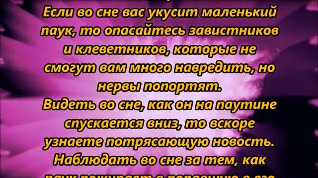 К чему снится паук,