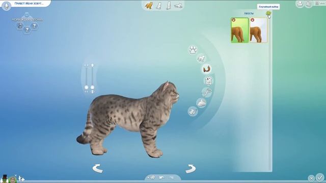 Симс 4 челлендж Чудо Генетики Кошки и Собаки 10 часть Мэр Усиков смотреть онлайн