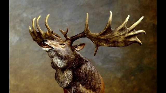 ТОП 10 Самых больших животных. Размеры повергают в ШОК! смотреть онлайн