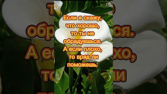 Словесная гармония стихотворений