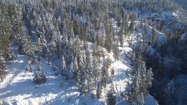 Winter Scenery With Relaxing Piano Music, Sleeping and Relaxing #deepsleep #calming #snow #pinetree смотреть онлайн