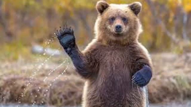 ТПО 5 смены 2016. Оригинальный жанр 2 экипажа смотреть онлайн