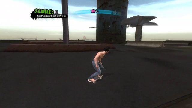 Tony Hawk's American Wasteland Walkthrough
