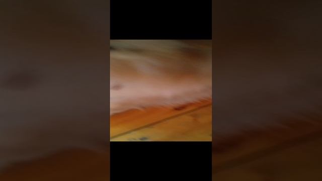 это Джесси моя собака смотреть онлайн