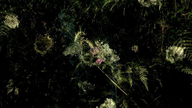 Sò diventatu - "À principiu" - new album CD & Vinyl - 19.03.2021 смотреть онлайн