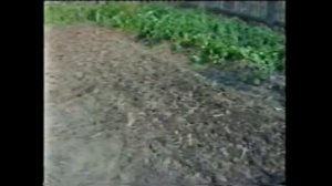 Плоскорез Фокина. Часть 1. Видео из архива Клуба ОЗ