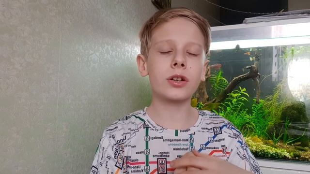 Перспективы вагоностроения (часть 3) смотреть онлайн