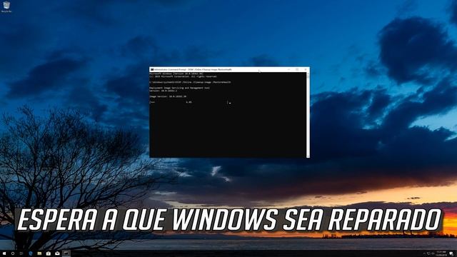 Copiar y Pegar no Funcionan en Windows 10/8/7/ [Solucion 2023] смотреть онлайн