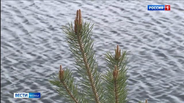 Прогноз погоды в Республике Коми на предстоящую неделю смотреть онлайн