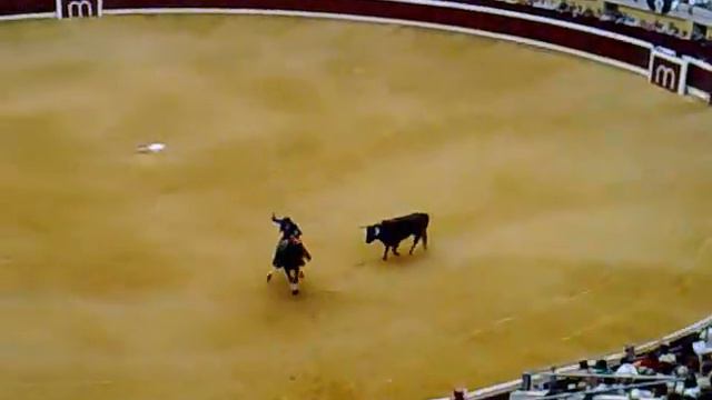 pablo hermoso de mendoza (logroño) смотреть онлайн
