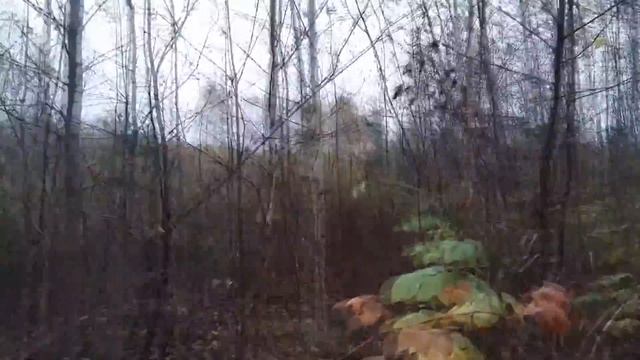 Дача, начало. осмотр. смотреть онлайн