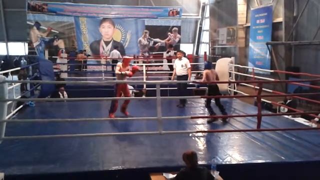 накаут г.Шымкент