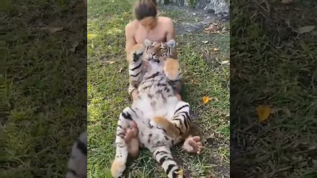 Все кошки любят когда им чешут пузо смотреть онлайн
