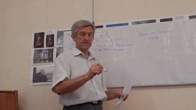 Смысл жизни Часть 1 из 4 24 06 2018 смотреть онлайн