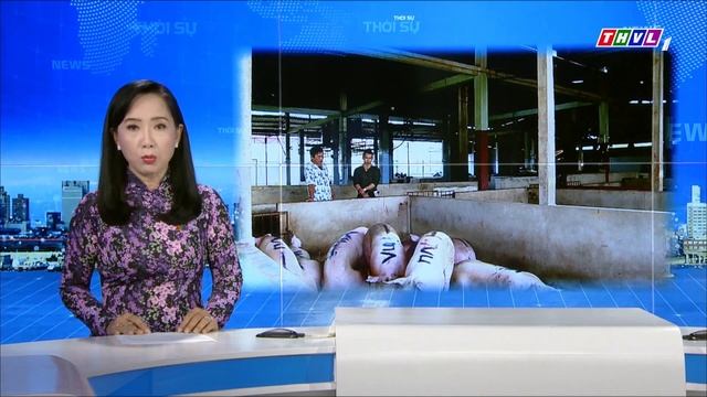 THVL | Vĩnh Long nâng cao chất lượng các tiêu chí đánh giá xếp loại lò giết mổ gia súc gia cầm смотреть онлайн