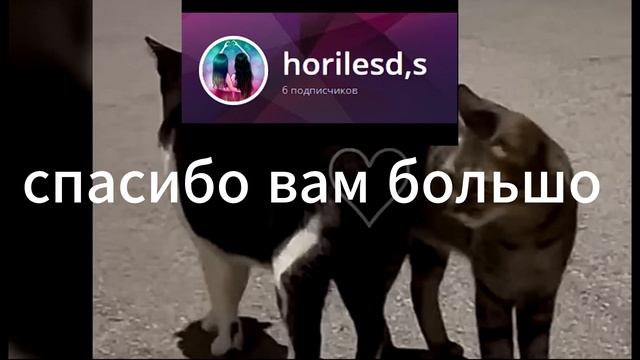 спасибо вам большое за 6 подписчиков смотреть онлайн