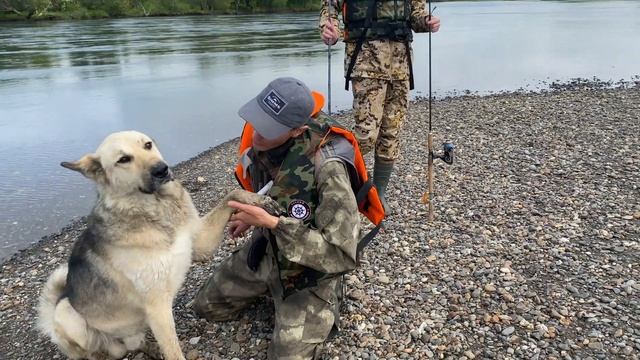Рыбалка на Камчатке в Июле. Кета, горбуша реки Большая смотреть онлайн