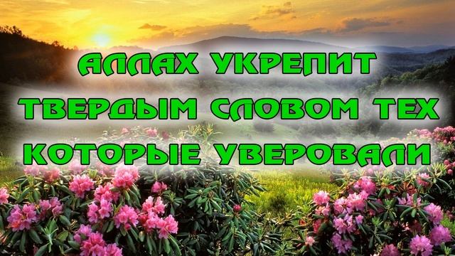 Аллах укрепит твердым словом тех, которые уверовали | Абу Яхья Крымский смотреть онлайн