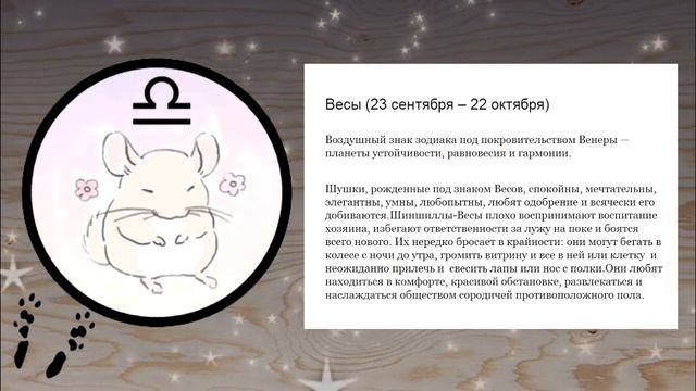 Шиншиллячий ГОРОСКОП. Знаки зодиака ШИНШИЛЛ?? смотреть онлайн