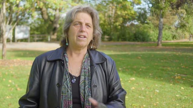 Wild Possibilities, Oyster Story смотреть онлайн