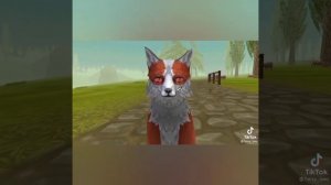 *Подборка Тик Ток •°Wild Craft°• 1/? ч.*