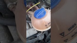 Т4. 2.4 Выкидывает антифриз.Не прокладка!!!