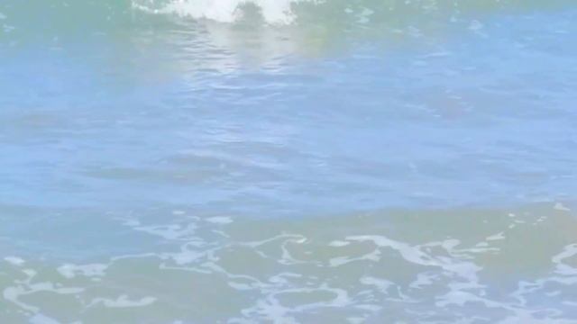 Паскветта у Моря. Готовим Фаршированные Ракушки. Pasquetta смотреть онлайн