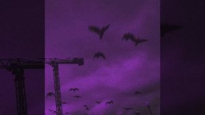 keraunos killer(slowed) - 4wheel