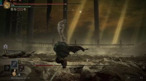 Elden Ring будущий консорт Радан быстро без боли. Билд.