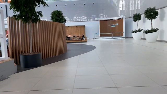 Черноморец - Варна - Стамбул - Москва. Возврат самолета в аэропорт Стамбула. От рассвета до заката. смотреть онлайн