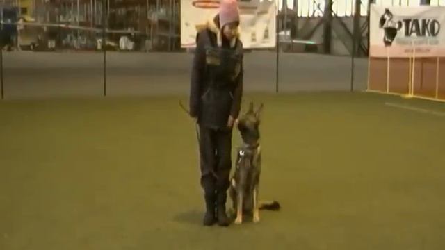 Прада, укладка, посадка в ОП. смотреть онлайн