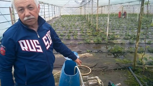 Инжектор вентури! Как работает подкормочный узел! смотреть онлайн