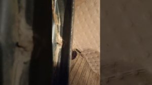 расширитель лыжи на буран, лучше управляемость на снегоходе буран, стал хорошо поворачивать буран.