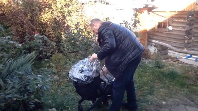 Автокресло Doona с Встроенными колёсами "Честный обзор" смотреть онлайн