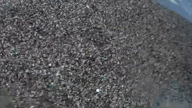 У МОРЯ ПУПСИКИ ГУЛЯЛИ смотреть онлайн