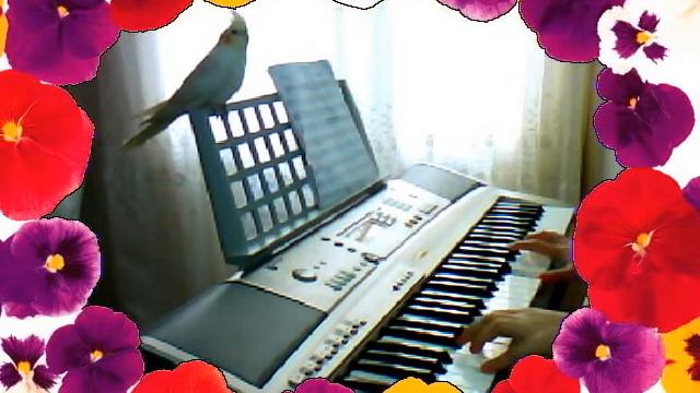 Elias ELRahbani - BEloved смотреть онлайн