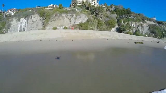 Vue from a Pelican смотреть онлайн
